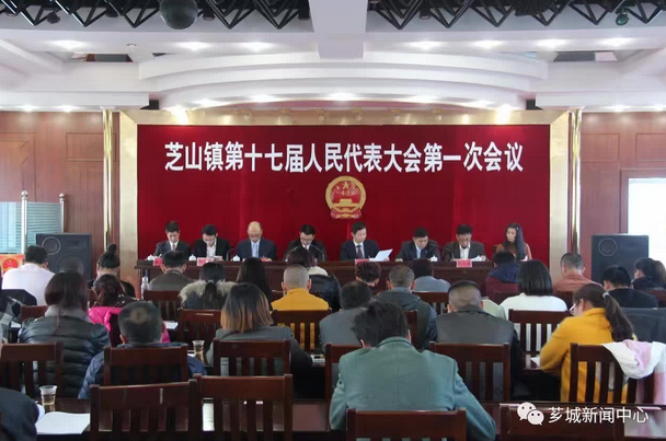 多维度视角下的林畅浩观点阐述