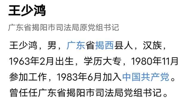 揭阳王少鸿的最新动态与消息更新