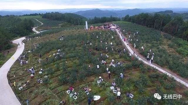 平昌S304小巷中的隐藏宝藏，特色小店最新消息揭秘