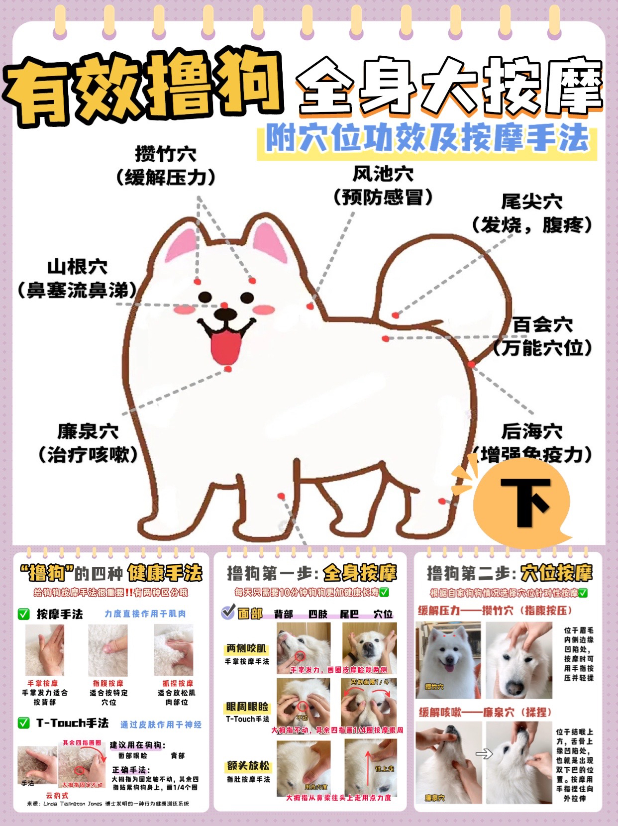 最新相狗方法的探讨与实践