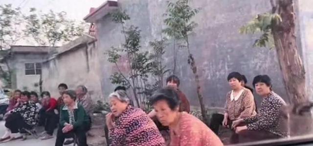 小明最新收获概览
